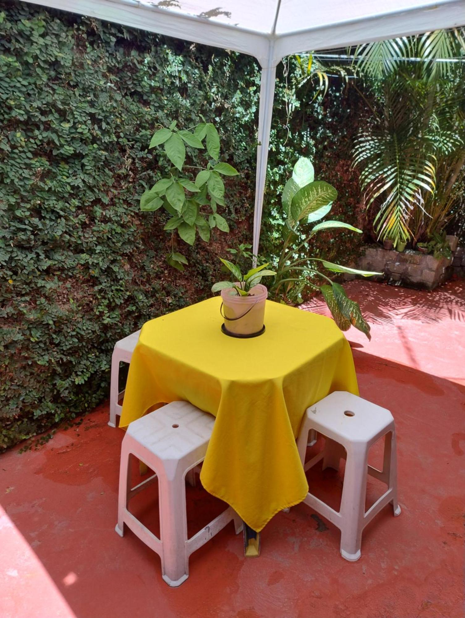 Perto Do Aeroporto De Salvador - Dona Pitanga Hostel Лауру-ди-Фрейтас Экстерьер фото